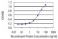 CTNNBL1 Antibody (monoclonal) (M01)