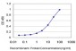 CTNS Antibody (monoclonal) (M09)