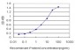 CUL7 Antibody (monoclonal) (M01)