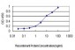 CX3CL1 Antibody (monoclonal) (M01)