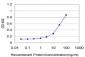 CXCL12 Antibody (monoclonal) (M03)