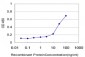 CXCL12 Antibody (monoclonal) (M07)