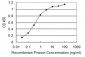 CXCR4 Antibody (monoclonal) (M04)