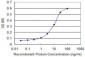 CYGB Antibody (monoclonal) (M02)