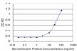 CYP2D6 Antibody (monoclonal) (M07)