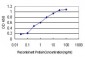 DAG1 Antibody (monoclonal) (M01)