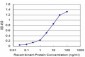 DBP Antibody (monoclonal) (M01)