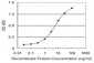 DCAMKL1 Antibody (monoclonal) (M03)