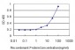 DCN Antibody (monoclonal) (M01)