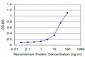 DCPS Antibody (monoclonal) (M03)