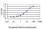 DCTN2 Antibody (monoclonal) (M01)