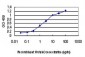 DDIT3 Antibody (monoclonal) (M01)