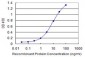 DDX56 Antibody (monoclonal) (M03)