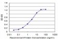 DDX56 Antibody (monoclonal) (M05)