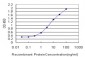 DHX8 Antibody (monoclonal) (M01)