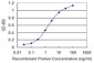 DHX8 Antibody (monoclonal) (M07)