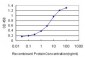 DIAPH1 Antibody (monoclonal) (M01)