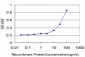 DLD Antibody (monoclonal) (M05)