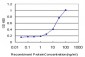 DLX1 Antibody (monoclonal) (M01)