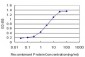 DLX5 Antibody (monoclonal) (M01)