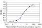 DLX5 Antibody (monoclonal) (M07)