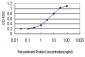 DMRT1 Antibody (monoclonal) (M01)