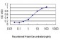 DNAJB2 Antibody (monoclonal) (M03)