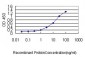 DNAJB4 Antibody (monoclonal) (M01)