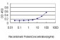 DNM1L Antibody (monoclonal) (M01)