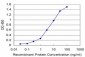 DNTT Antibody (monoclonal) (M01)