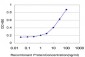 DPP4 Antibody (monoclonal) (M03)