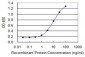 DPYSL3 Antibody (monoclonal) (M01)