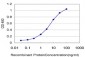 DTX3L Antibody (monoclonal) (M01)