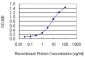 E2F3 Antibody (monoclonal) (M01)