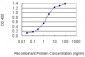 E2F3 Antibody (monoclonal) (M01)