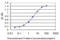 E2F4 Antibody (monoclonal) (M01)