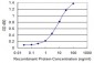 EBAG9 Antibody (monoclonal) (M04)