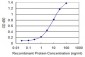 EBAG9 Antibody (monoclonal) (M04)