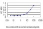 EBF Antibody (monoclonal) (M02)