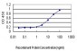 EGFL7 Antibody (monoclonal) (M01)