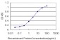 EGR1 Antibody (monoclonal) (M03)