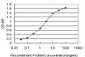 EIF2AK2 Antibody (monoclonal) (M02)