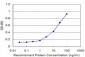 EIF2AK2 Antibody (monoclonal) (M03)