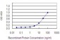 EIF2C2 Antibody (monoclonal) (M01)