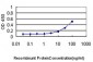 EIF2S1 Antibody (monoclonal) (M01)