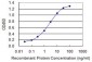 EIF4G1 Antibody (monoclonal) (M01)