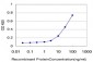 EIF5 Antibody (monoclonal) (M01)