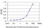 ELA2 Antibody (monoclonal) (M05)