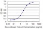 ELAVL1 Antibody (monoclonal) (M02)