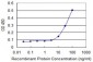 ELF5 Antibody (monoclonal) (M01)